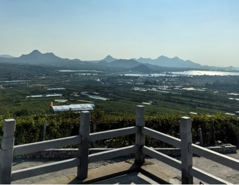 平度大澤山葡萄園引進(jìn)萊恩德土壤肥料檢測(cè)儀， 輕松掌握土壤營(yíng)養(yǎng)